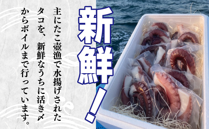 冷凍ボイルタコ 足のみ 合計700g（100g前後×5～10パック）たこ 刺身 個包装 酒の肴 酢の物 唐揚げ たこぶつ 099H3822