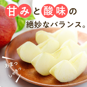 【先行予約】 令和8年産 舘山りんご 品種おまかせ 約2.5kg 9玉 ～ 11玉