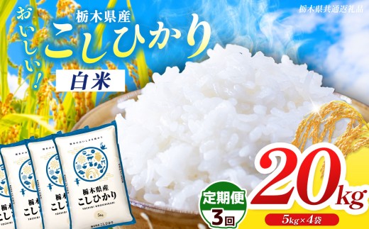 【栃木県共通返礼品】【先行予約】【令和8年度産】【定期3回】 訳あり 栃木県産コシヒカリ 20kg |定期便 選べる ふるさと 納税 コシヒカリ お米 精米 白米 玄米 大粒 共通返礼品 送料無料 那珂川町 栃木県
