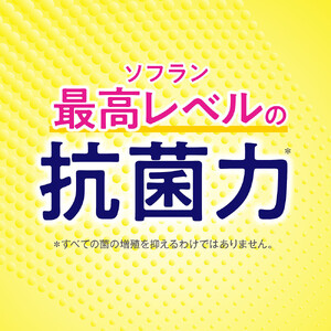 ライオン 柔軟剤 ソフラン PS　フレッシュグリーンアロマの香り　本体1本＋替750ml6袋 柔軟剤