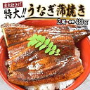 【ふるさと納税】うなぎ蒲焼き2尾入り 480g（蒲焼たれ4袋 山椒付き）【KS5】 | 鰻 うなぎ 蒲焼き 2尾 480g たれ付 山椒付 薬味付 海鮮 土用 土用の丑の日 夏 スタミナ 食品 冷凍 海産物おすすめ 和歌山県 由良町 送料無料