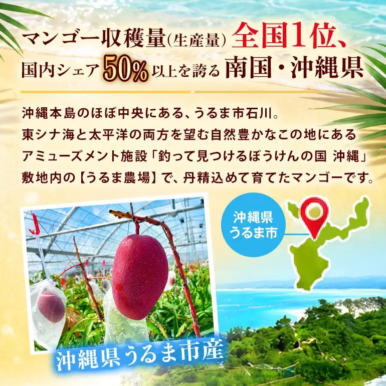ぼうけんの国 宝石マンゴー 【良品】アーウィンマンゴー クリスタルclass 約1kg ku01-007