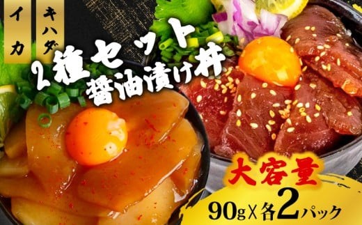 2種 醤油 漬け丼 90g×各2パック キハダマグロ イカ まぐろ 鮪 烏賊 切り身 特製 漬け丼 丼 海鮮丼 刺し身 刺身 切身 手軽 便利 ご飯のお供 簡単調理 海鮮 魚介 惣菜 冷凍 小分け 大容量 ふるさと納税 人気 ふるさと納税漬け丼 ふるさと納税海鮮丼 TY072
