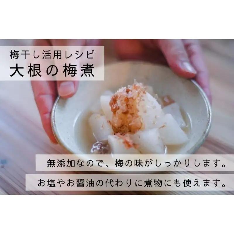 【梅ボーイズ】無添加 紀州南高梅の梅チューブ6本セット（塩・紫蘇）天日塩使用 【umehkr021】