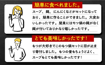 九州産もつ鍋セット(２人分）【三田川ホルモン専門店】[FAC002]