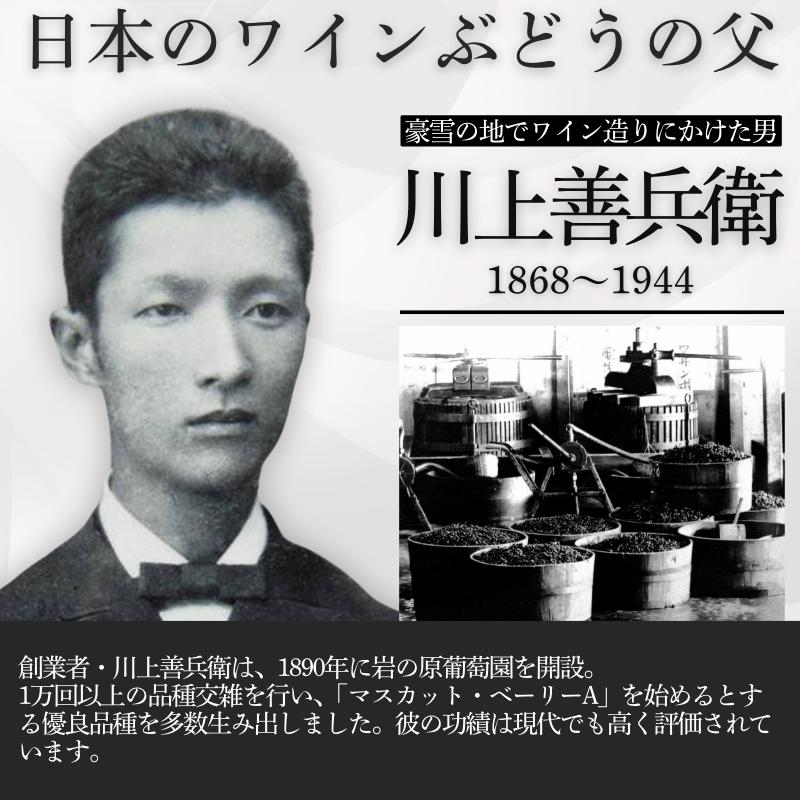 ワイン 岩の原ワイン 善 赤 白 ロゼ 3本セット  (赤×1本、白×1本、ロゼ×1本 各720ml ) お酒 岩の原 酒 新潟 上越 最短3日で発送