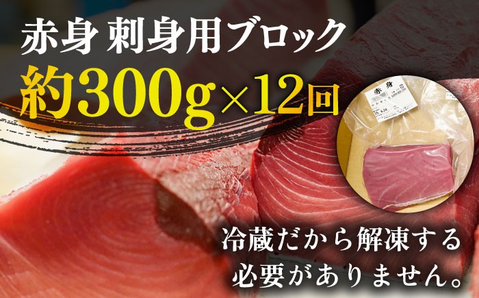 【全12回定期便】 五島列島産 養殖 生本かみマグロ 赤身 300g / まぐろ 鮪 刺身 ブロック