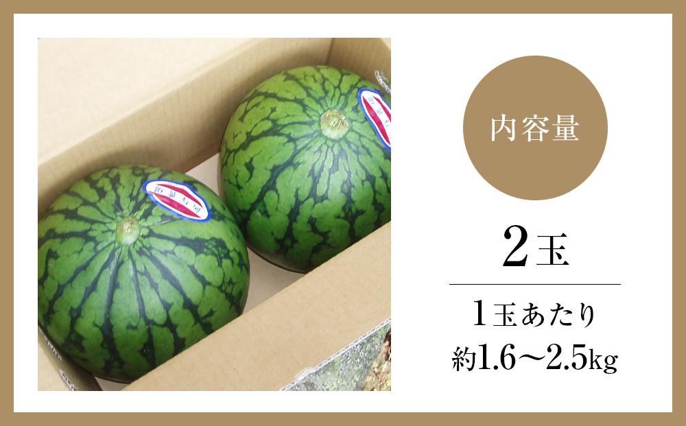新潟県産小玉スイカ２玉