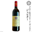 【ふるさと納税】メルロー＆カベルネ・ソーヴィニヨン ジュピター750ml×1本 [ ヴィニョブル安曇野(ドメーヌ・ヒロキ) 長野県 池田町 48110337] ワイン 赤 赤ワイン