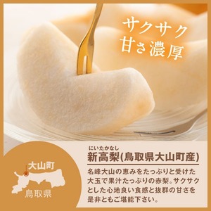 YN-03 鳥取県産和ナシ　新高梨5kg