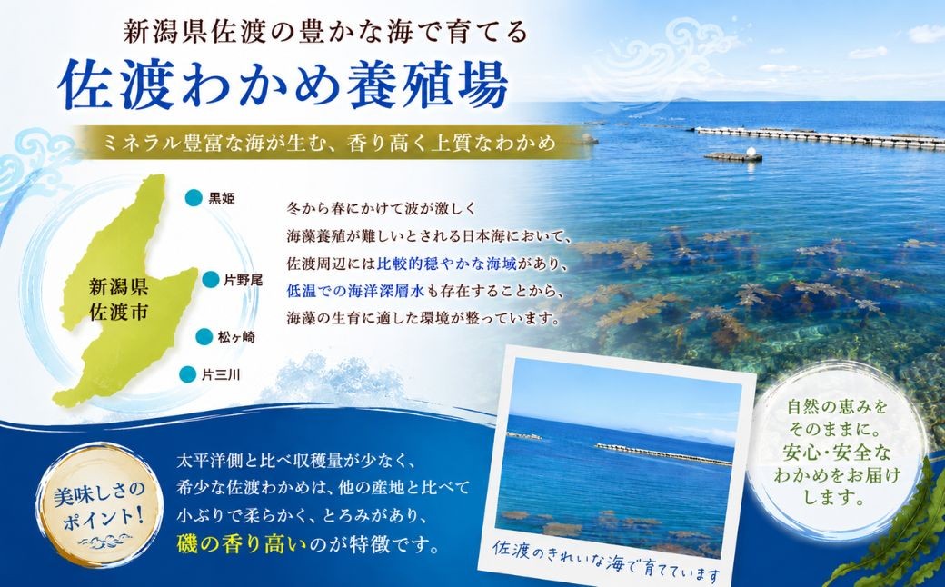 新潟県佐渡島の希少なわかめです。