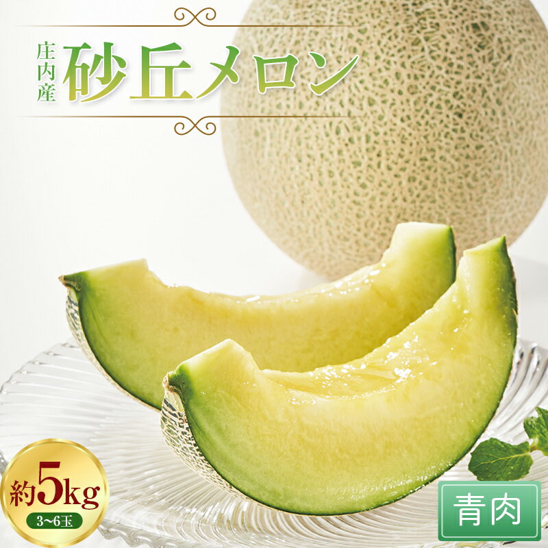 【ふるさと納税】庄内産砂丘メロン（青肉）約5kg FSY-0761