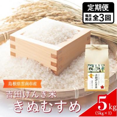 ふるさと納税 雲南市 【毎月定期便】島根県雲南市産　吉田げんき米　きぬむすめ　5kg(5kg×1)全3回
