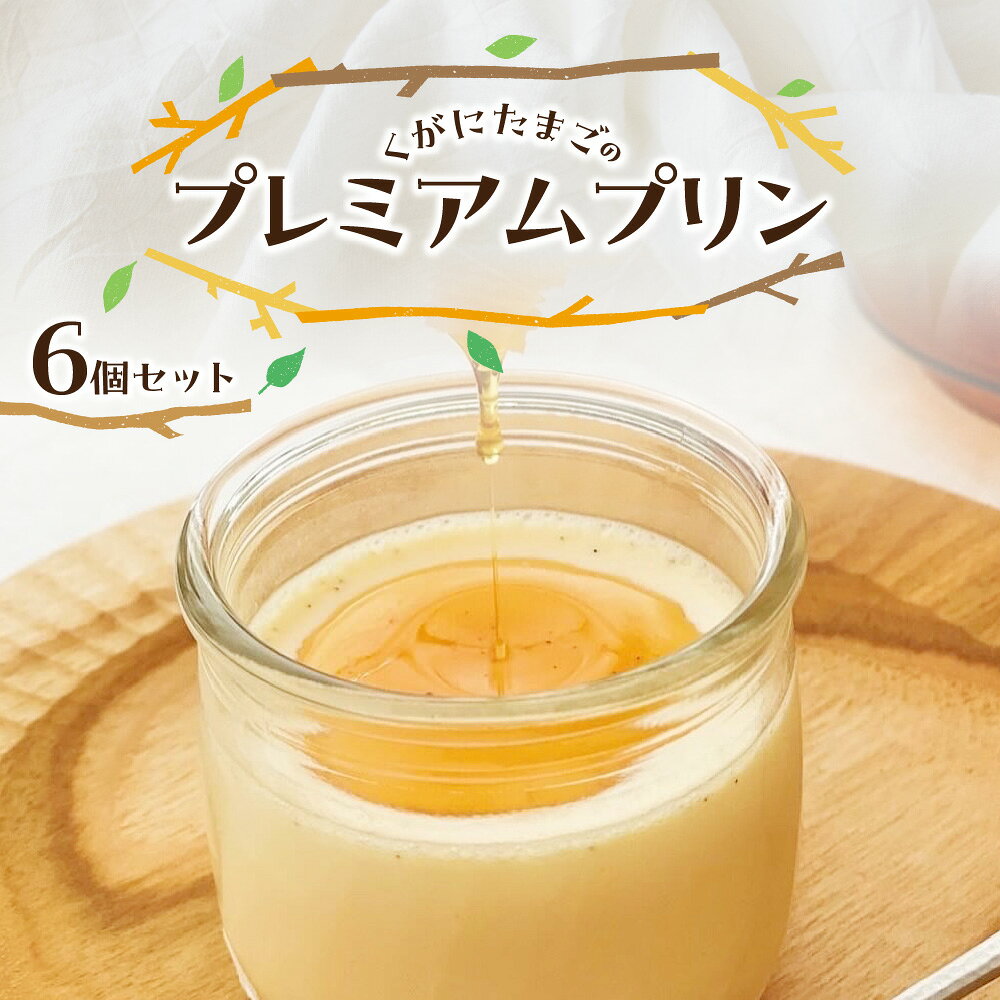 【ふるさと納税】【大阪喜安】くがにたまご プレミアムプリン 6個 沖縄産みたて卵 北海道生クリーム タヒチバニラ 手作りカラメル 保存料なし 完全受注生産 なめらか スイーツ 大阪