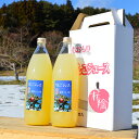 【ふるさと納税】八戸産岩舘 りんご園 りんごジュース2本セット 1000ml×2本 ストレート りんご 林檎 フルーツ ブレンド 国産 八戸産 送料無料