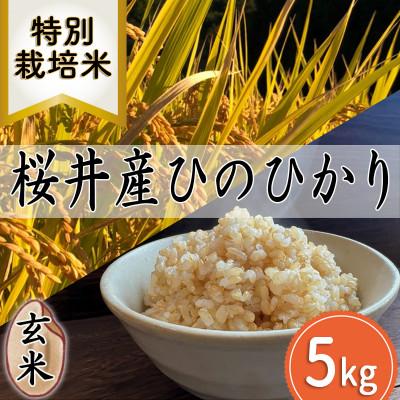 ふるさと納税 桜井市 【特別栽培米】桜井市高家産 ヒノヒカリ 玄米 5kg