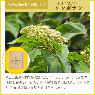 ふるさと納税 東成瀬村 はちみつ2個セット(マロニエ・ケンポナシ プラスチックボトル)|07_bct-050201b |  | 02