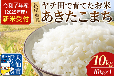 《令和7年産 新米受付》【白米】秋田県産 あきたこまち ヤチ田で育てたお米 精米 10kg