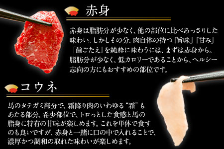 贅沢バラエティセット 540g 千興ファーム 馬肉 冷凍 《60日以内に出荷予定(土日祝除く)》 新鮮 さばきたて 生食用 肉 熊本県御船町 馬刺し 馬肉 惣菜 希少部位