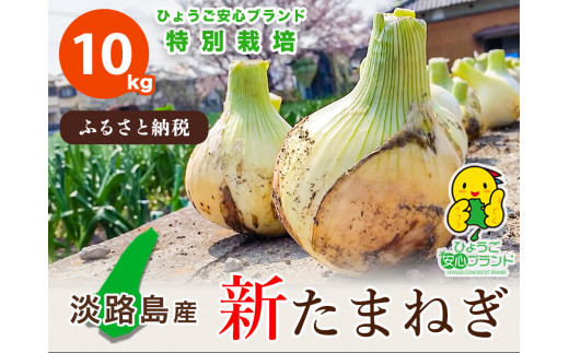 【あさひサンファーム】兵庫県認証★特別栽培★淡路島新たまねぎ【10㎏】（配送3月上旬～）