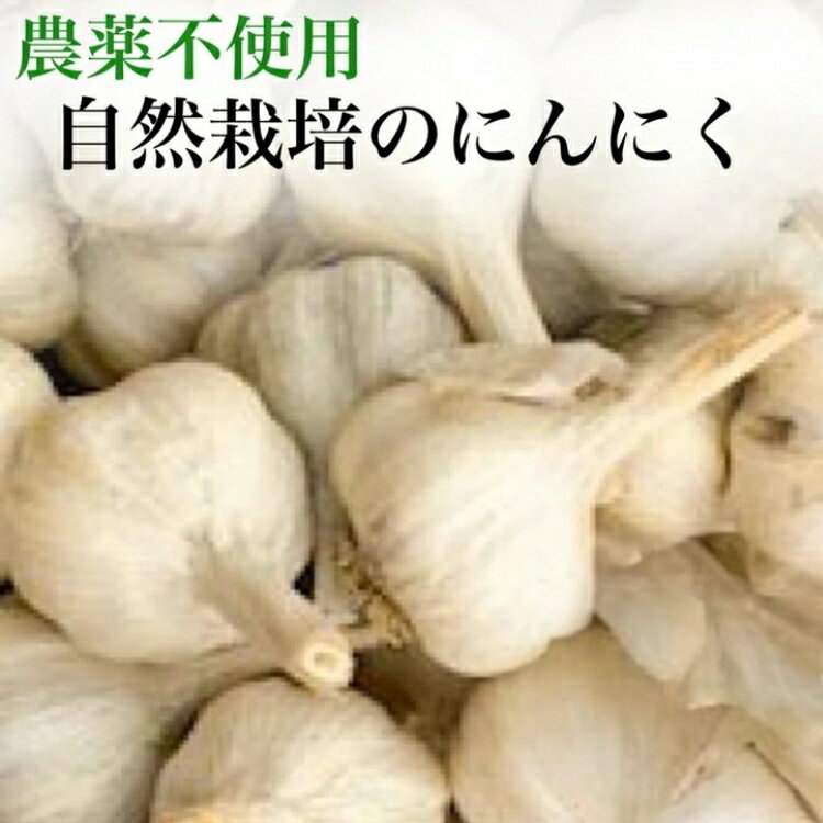 【ふるさと納税】【2025年産】にんにく 1kg・5kg・10kg 京都府・亀岡産 自然栽培のかたもとオーガニックファームよりお届け ※離島への発送不可 ※2025年6月下旬～9月下旬頃に順次発送予定 ☆月間MVPふるさと納税賞 第1号（2020年10月）・SDGs未来都市亀岡