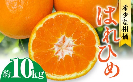 【ふるさと納税】希少な柑橘「はれひめ」約10kg