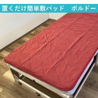 ふるさと納税 泉大津市 置くだけ簡単 やわらかくて気持ちいい　優しい温もり　敷パッド　100×200cm　ボルドー