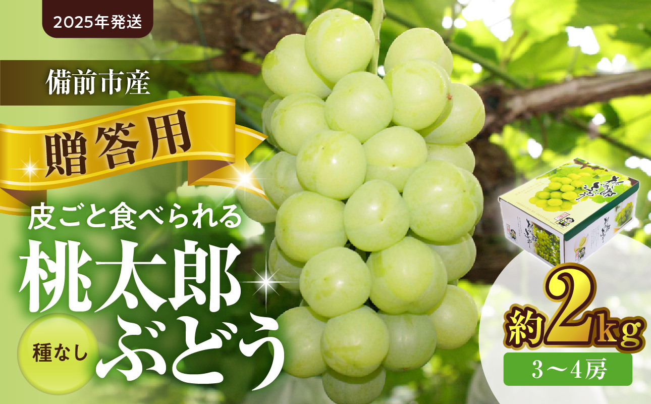 【2025年発送】備前市産 贈答用 桃太郎ぶどう 約2kg（令和７年９月初旬～１０月初旬発送予定）【 フルーツ 桃太郎ぶどう 備前市産 贈答用 晴れの国おかやま 】