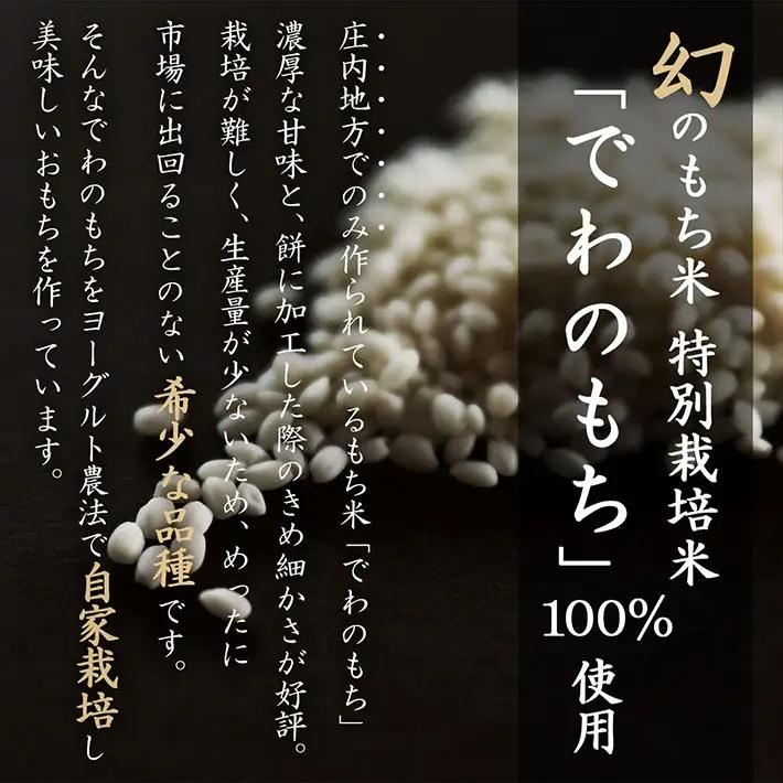 【6か月定期便】丸もち 杵つき餅 380g×3袋 柔らかくよく伸びる 丸もち お餅 小さめ お雑煮 丸餅 餅 もち 個包装 定期【8月中旬発送/入金期限：2026年7月25日】
