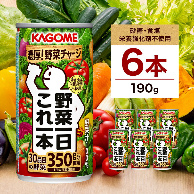 【ふるさと納税】 カゴメ 野菜一日これ一本 190g×6缶 栃木県 那須塩原市 野菜ジュース 野菜汁100% 砂糖不使用 食塩不使用 栄養強化剤不使用 香料不使用 30品目 野菜 ジュース リコピン β-カロテン 食物繊維 ビタミンA ドリンク 飲料 かごめ KAGOME 送料無料