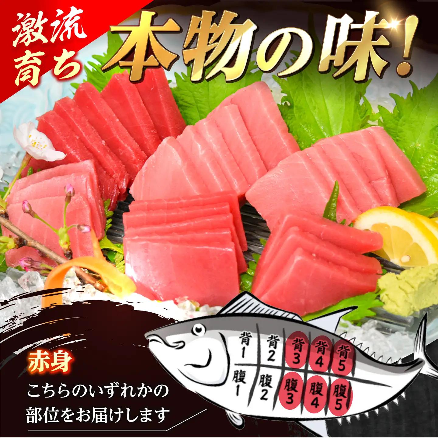 【数量限定！】【どこを切ってもうまい！濃厚な味わい】金太郎 マグロ 冷凍 ブロック 赤身 約950g【徳丸】[RAC032]