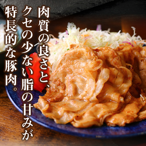 クリスタルポーク生姜焼き1kg ポーク