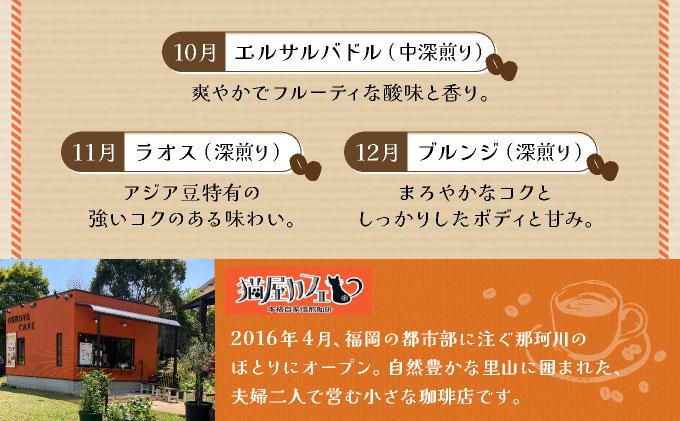 ＜定期便・全12回＞世界を夢見るコーヒー【豆】500g|コーヒー豆 珈琲 詰め合わせ 飲み比べ セット 深煎り 中入り 浅煎り アフターミックス製法 猫屋カフェ 送料無料 福岡県 那珂川市