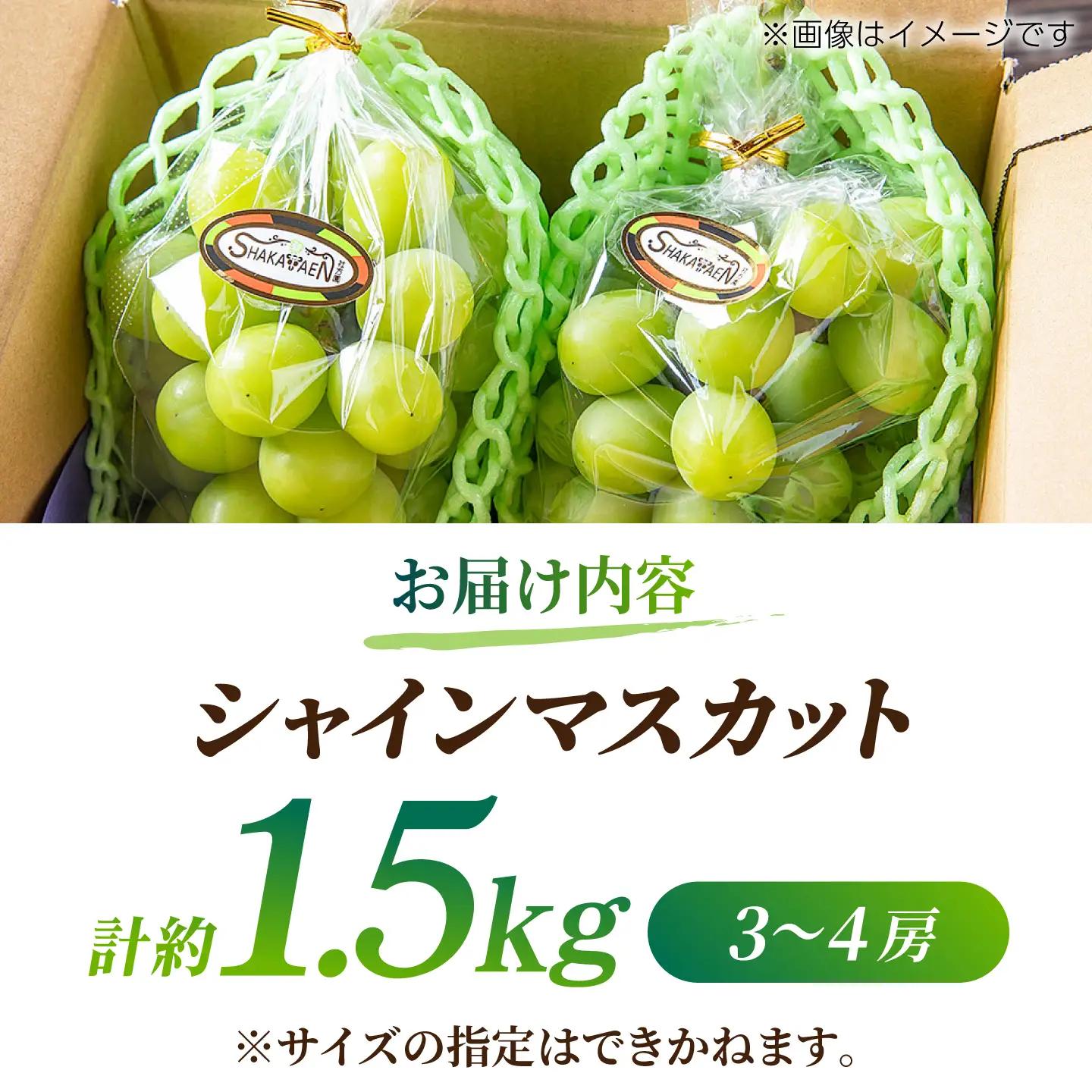 【先行予約】【訳あり】 シャインマスカット 約1.5kg(3～4房)【合同会社 社方園】[ZBZ030]