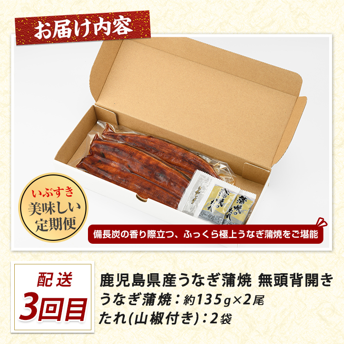 【全３回定期便】鰻・カツオ・さつま揚げ いぶすきグルメ定期便 (IBZ999-021) 鰹 かつお しそ天 いわし天 れんこん天 玉ねぎ天 うなぎ蒲焼 ウナギ 備長炭