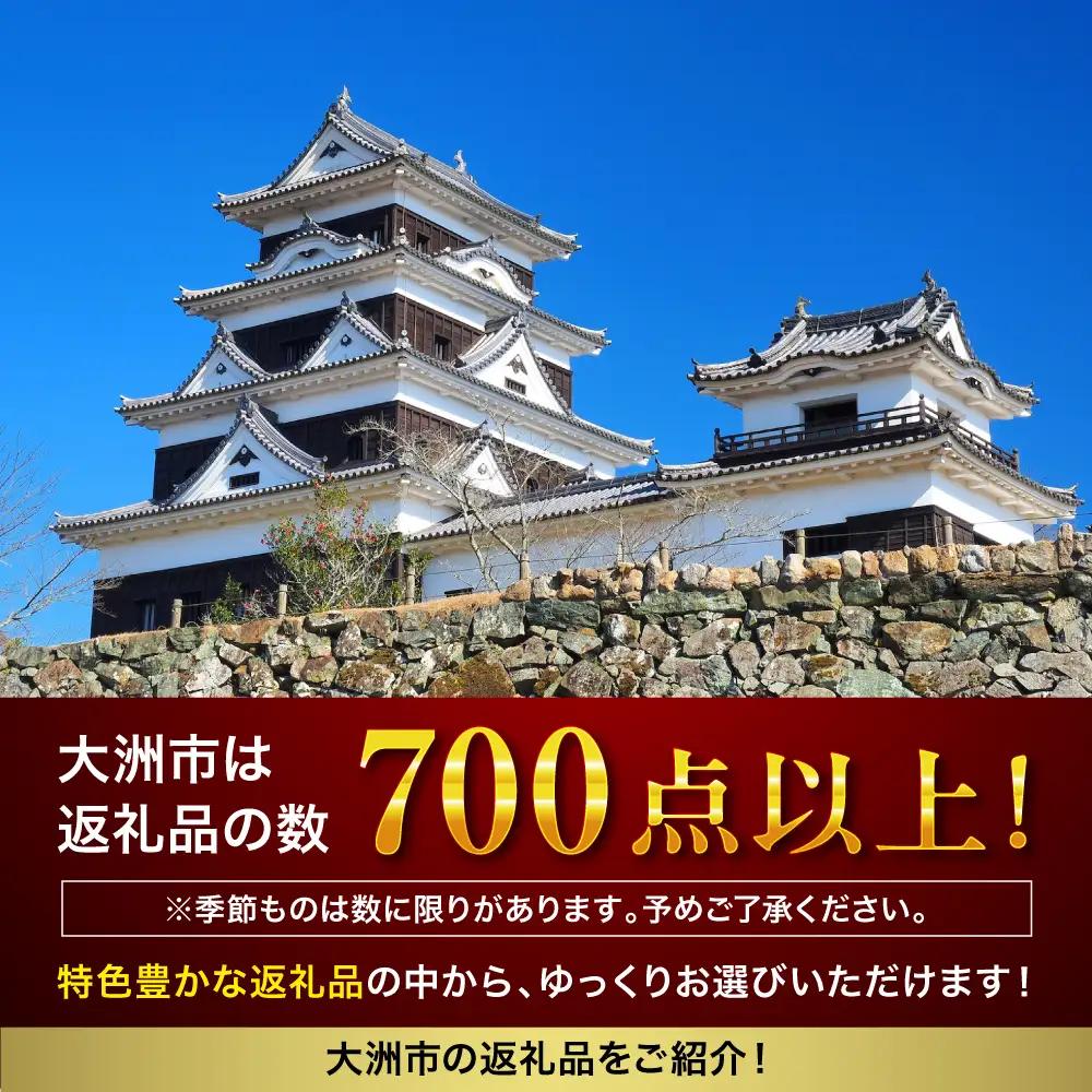 ギフト【あとから選べる】ふるさとギフト 20万円分 ギフト[AGXX022]