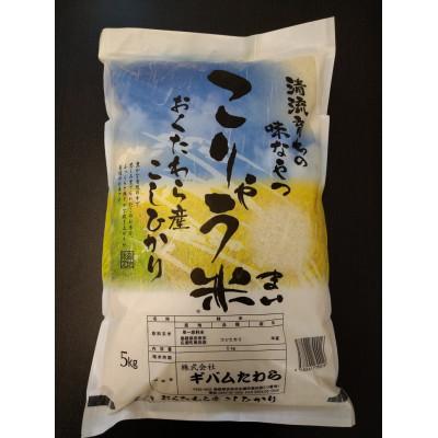 ふるさと納税 安来市 安来のお米　こりゃう米　白米7kg