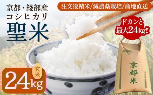 令和7年度産 業務用 京都府産コシヒカリ 聖米 玄米 24kg【米 お米 玄米 京都府産 ごはん こめ 国産 24キロ 大容量 まとめ買い 京都府 京都 綾部市 】