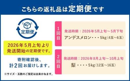 【フルーツ2回定期便】 アンデスメロン 5kg + 梨 5kg 【2026年5月上旬~10月上旬迄順次発送予定】 メロン なし ナシ 和梨 果物 果実 フルーツ 定期便 九州 熊本県 あさぎり町 冷蔵