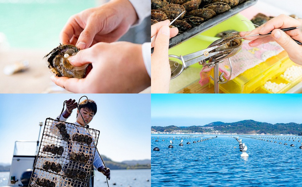 アコヤ真珠WG-8.0mm フォーマルパールイヤリング 【PREMIUM】 ／ アクセサリー ジュエリー パール 長崎県 長崎市