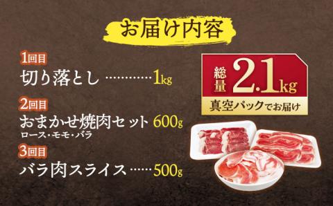 【3回定期便】ジビエ 天然イノシシ肉 人気部位 総量2.1kg / 猪肉 いのしし イノシシ 猪鍋 ぼたん鍋 肉 切り落とし肉 スライス肉 ミンチ肉 いのしし肉【照本食肉加工所】 [OAJ074]