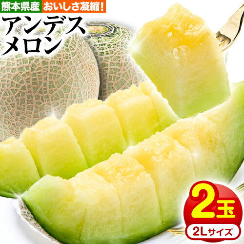 【ふるさと納税】メロン 熊本県産 アンデスメロン 2玉 2Lサイズ《4月下旬-5月末頃出荷》熊本県 大津町 メロン めろん 果物 フルーツ スイーツ 送料無料 JA