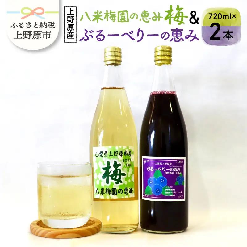 梅ジュース ブルーベリージュース 720ml×2本 無添加 自然栽培 八米梅園 国産 保存料不使用 梅果汁入り 濃厚 飲料 ドリンク 美味しい 瓶 夏ギフト 贈り物 お取り寄せ 山梨県産 上野原市 送