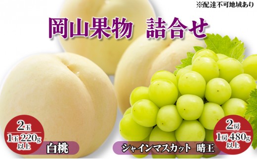 
                  【×】桃 ぶどう 2024年 先行予約 岡山果物 詰合せ 白桃 2玉（1玉 220g以上）／ シャイン マスカット 晴王 2房（1房 480g以上）化粧箱入り もも 葡萄 岡山県産 国産 フルーツ 果物 ギフト 
                