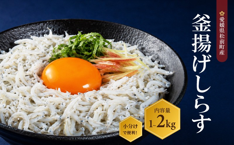
                  釜揚げ しらす 1kg / 2kg / 1.5kg / 1.25kg 訳あり 家庭用 贈答用  |  冷凍 しらす しらす干し ごはんのお供 おつまみ 酒の肴 小分け 便利 簡単調理 おかず 惣菜 しらす丼 グルメ 食品 魚 魚介 海鮮 シラス 贈答 ギフト  愛媛県 松前町 
                