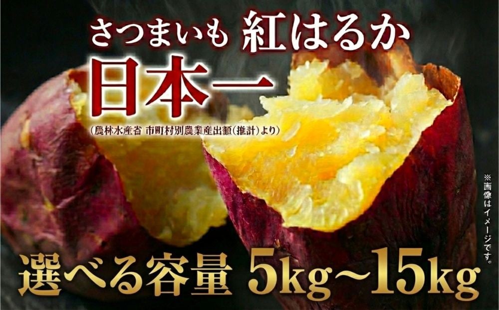 
                  さつまいも 紅はるか 訳ありB品 5kg ～ 15kg サツマイモ 甘藷 産出額 日本一 茨城県 鉾田市
                