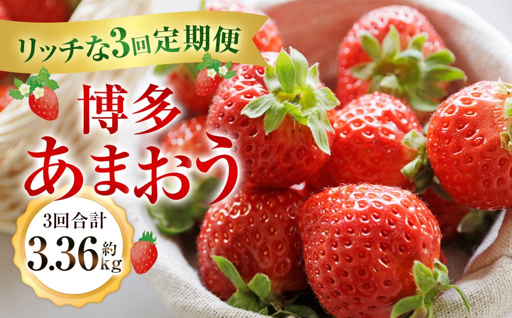 
                  博多あまおうリッチな3回定期便【2026年12月上旬～2027年2月下旬発送予定】 いちご イチゴ 苺 あまおう 大きい 大粒 あまい 甘い 果汁 果物 フルーツ 高級 3.36kg 3360g 福岡 冷蔵
                