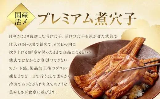 【 3ヶ月定期便 】 国産活〆 プレミアム煮穴子 500g （ 250g × 2袋 ） タレ （ 50g ） 付 魚 魚類 お魚 穴子 アナゴ あなご 魚料理 冷凍 保存料不使用 着色料不使用 添加物