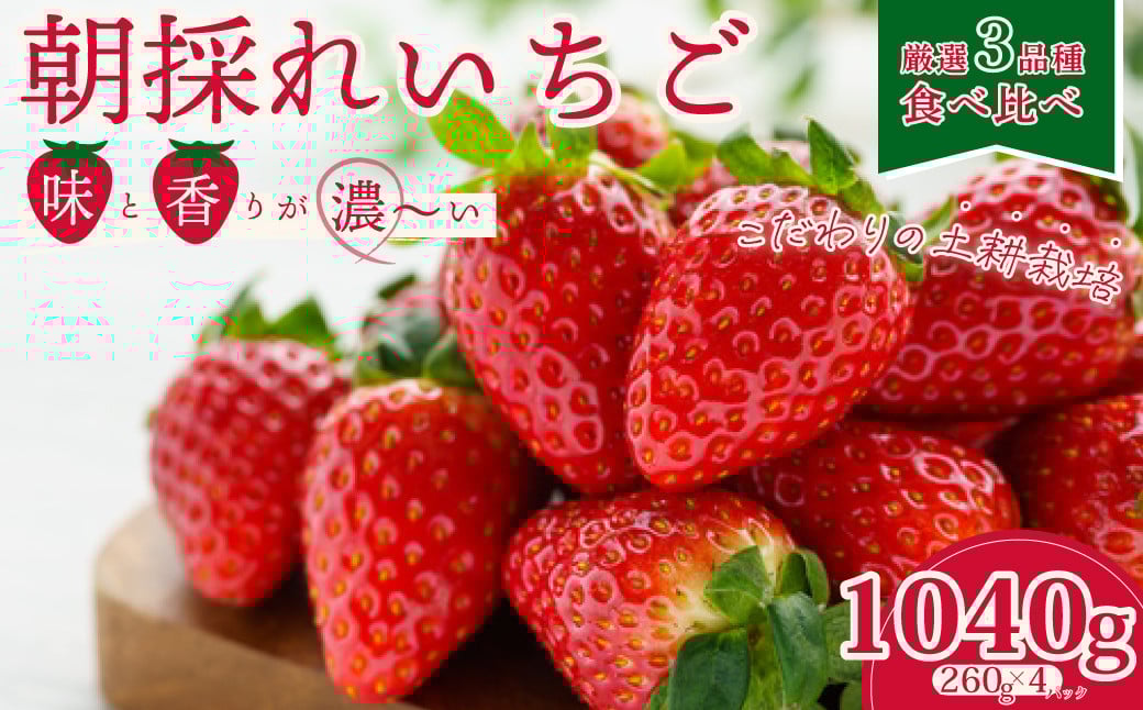 
            【2026年 先行予約】【いちご3種 食べ比べ】 いちご4パック×1箱  |  苺 イチゴ いちご  香り 大粒 いばらキッス ひたち姫 やよいひめ 厳選 フルーツ 新鮮 朝採れ 採れたて フレッシュ 旬 鮮度 甘い 美味しい 糖度 酸味 バランス 果肉 健康 果物 ブランド デザート 贈り物 食べ比べ 人気 リピート おすすめ 檜山いちご園 茨城県 常陸太田市
          
