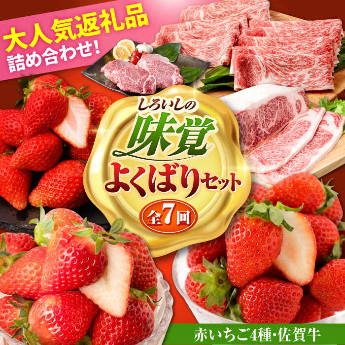 【ふるさと納税】【R8年1月以降発送】しろいしの味覚よくばりセット（赤いちご4種と佐賀牛） / いちご苺 果物 フルーツ 黒毛和牛 A4 A5 ブランド牛 佐賀県 白石町 [IZZ028]